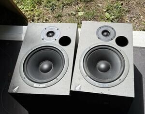 Event Electronics 20/20P Studio Monitors Black Pro Studio Turns On Heavy!